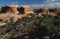 canyonlands np - the needles - utah 006